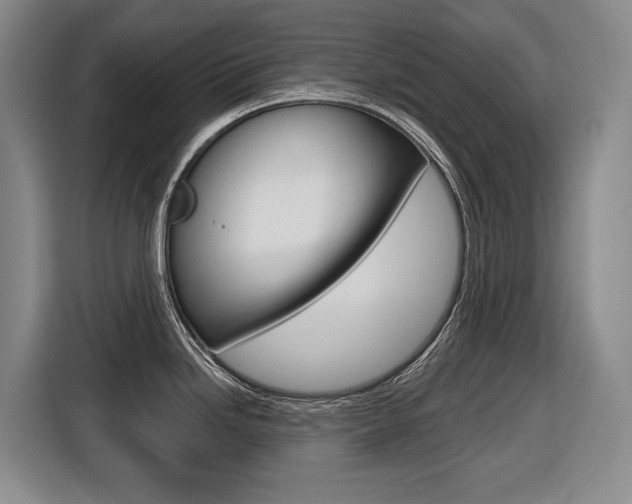 X0000116571246200912100957