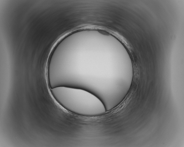 X0000116571247200912100957