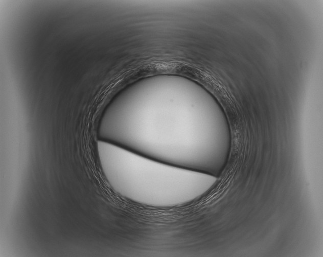 X0000116571249200912100956