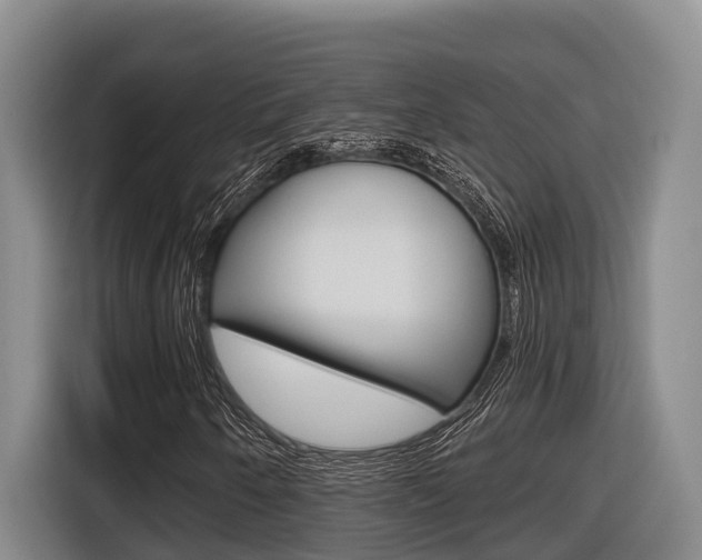 X0000116571250200912100956