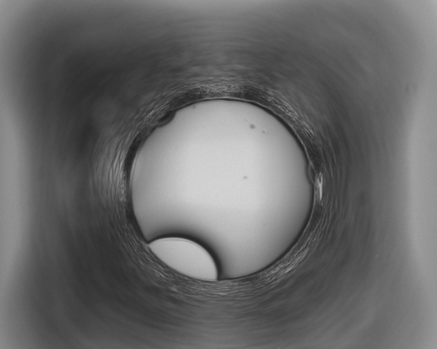 X0000116571251200912100956