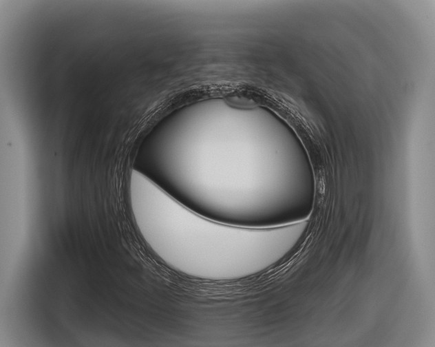 X0000116571252200912100956