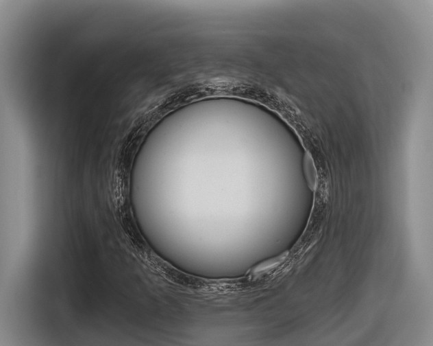 X0000116571253200912100956