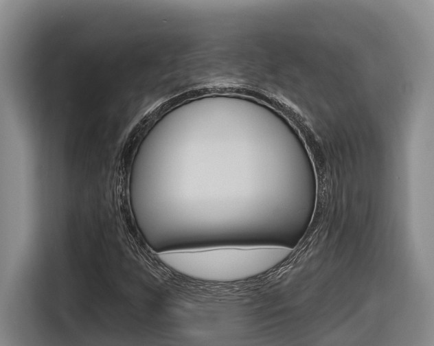 X0000116571255200912100956