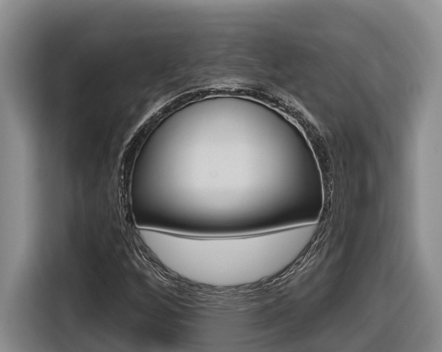 X0000116571256200912100956