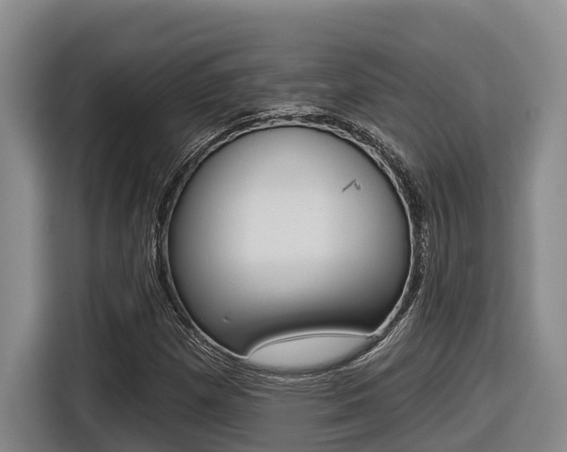 X0000116571257200912100956