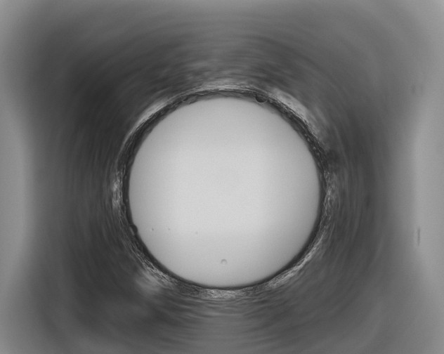 X0000116571258200912100956