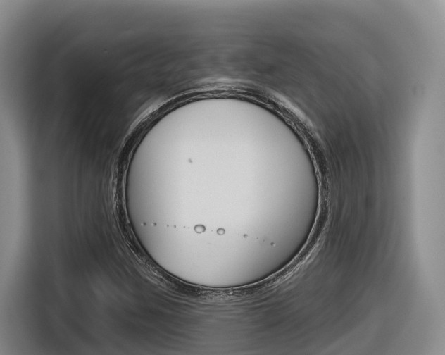 X0000116571259200912100956