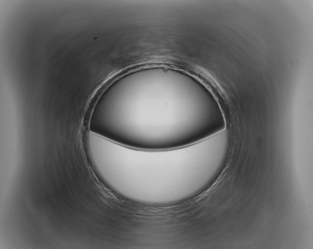 X0000116571260200912100956