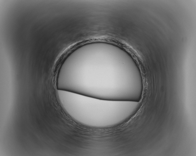 X0000116571262200912100956