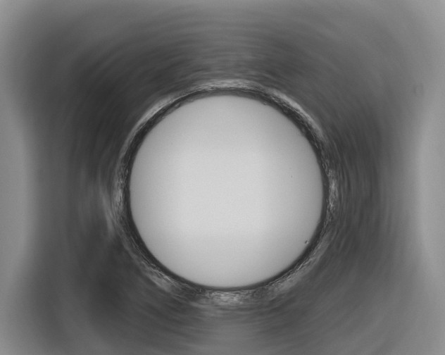 X0000116571266200912100956