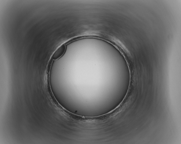 X0000116571268200912100956