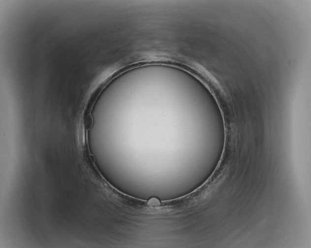 X0000116571269200912100956