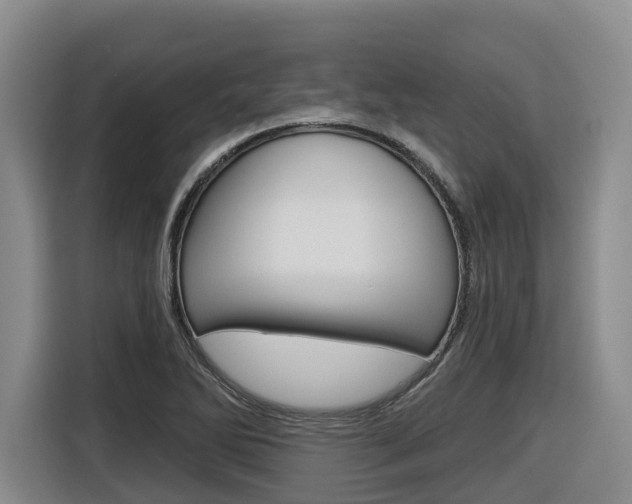 X0000116571270200912100956
