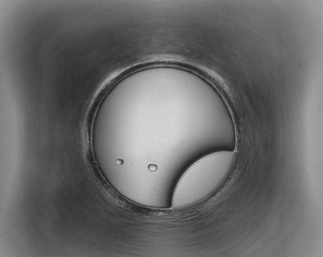 X0000116571271200912100956