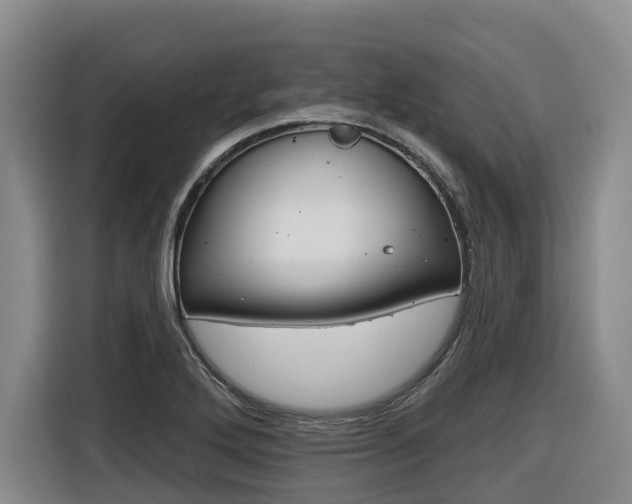 X0000116571272200912100956