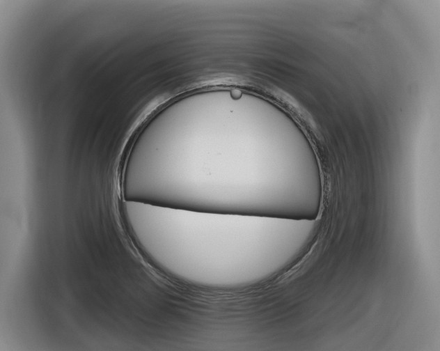 X0000116571274200912100956