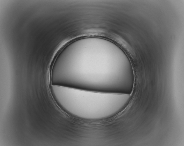 X0000116571275200912100956