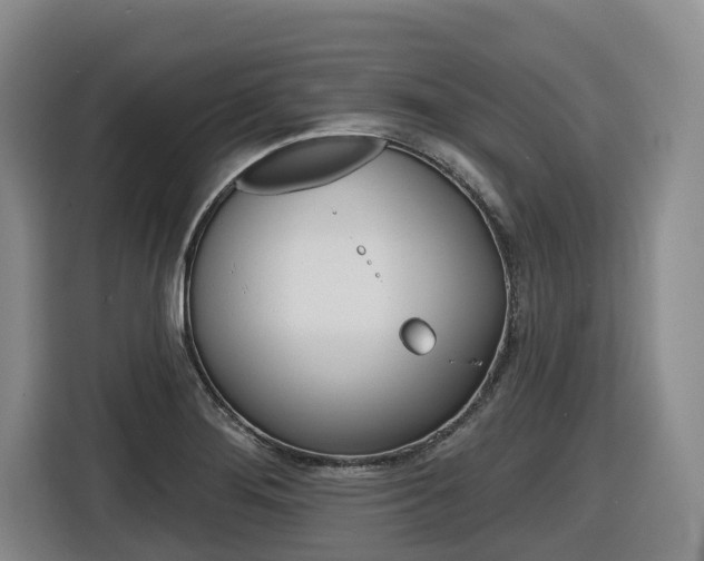 X0000116571276200912100956