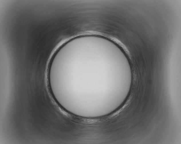 X0000116571278200912100956