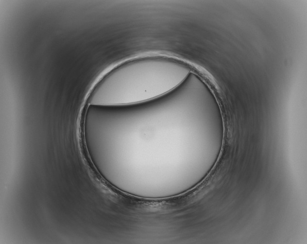 X0000116571279200912100956