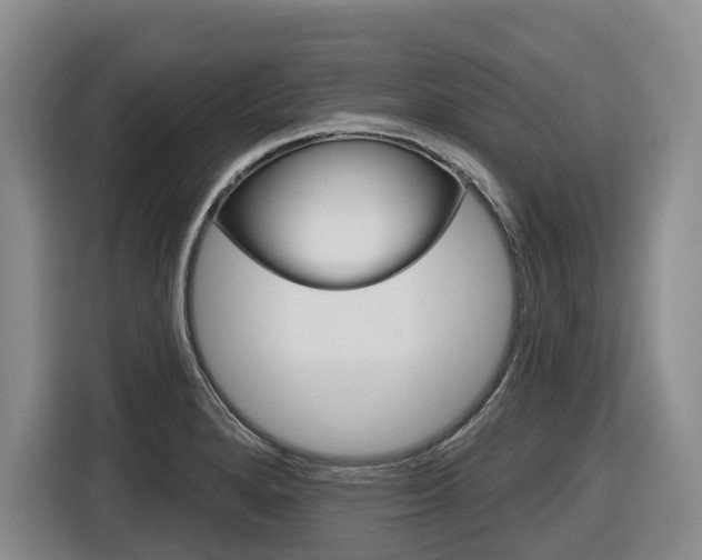 X0000116571280200912100956