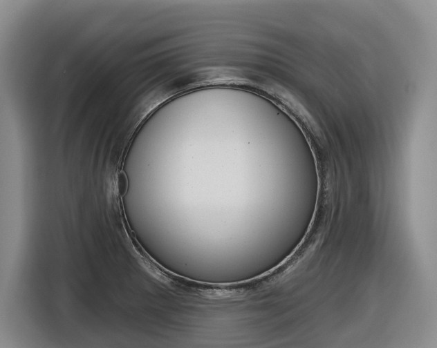 X0000116571281200912100956