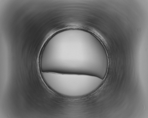 X0000116571283200912100956