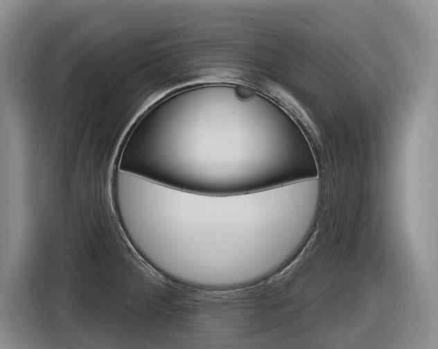 X0000116571284200912100956