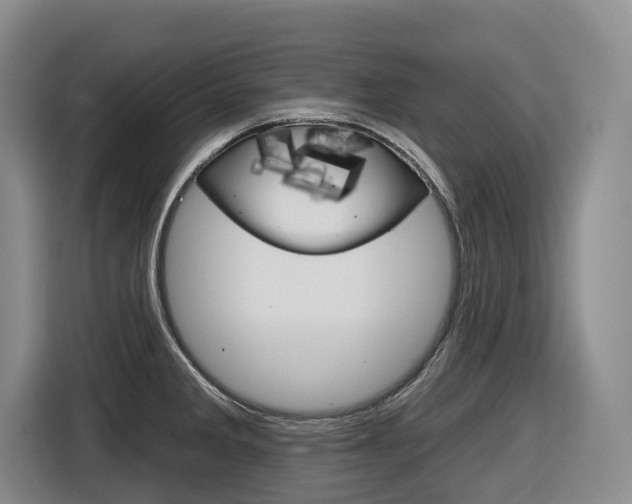 X0000116571285200912100956
