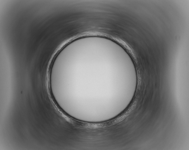 X0000116571286200912100956