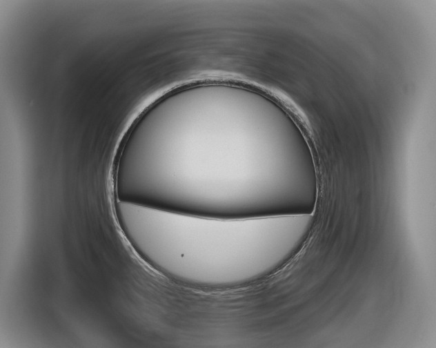 X0000116571287200912100956