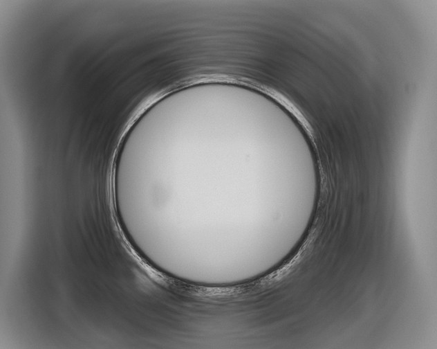 X0000116571290200912100956