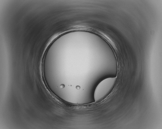 X0000116571291200912100956