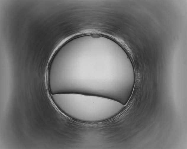 X0000116571295200912100956