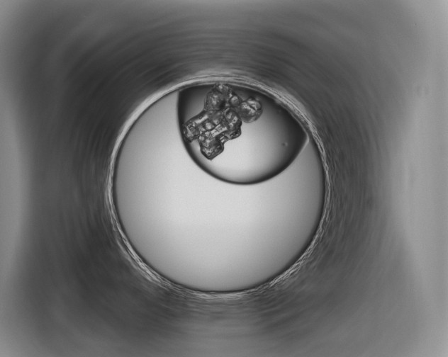 X0000116571296200912100956