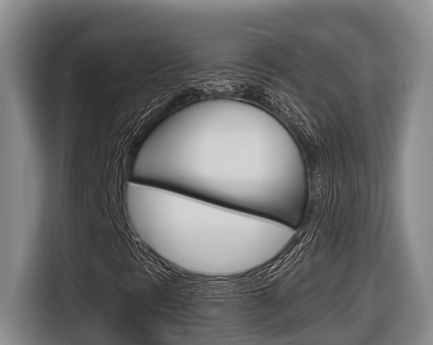X0000116571297200912100955