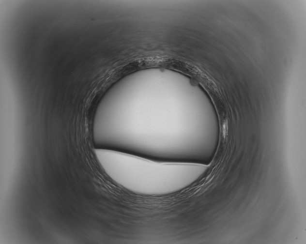 X0000116571299200912100955