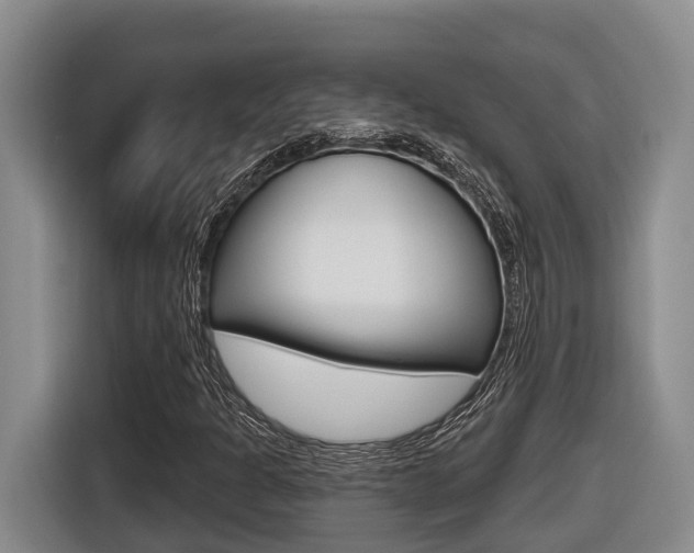 X0000116571301200912100955