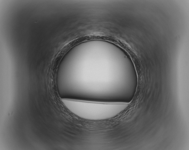 X0000116571303200912100955