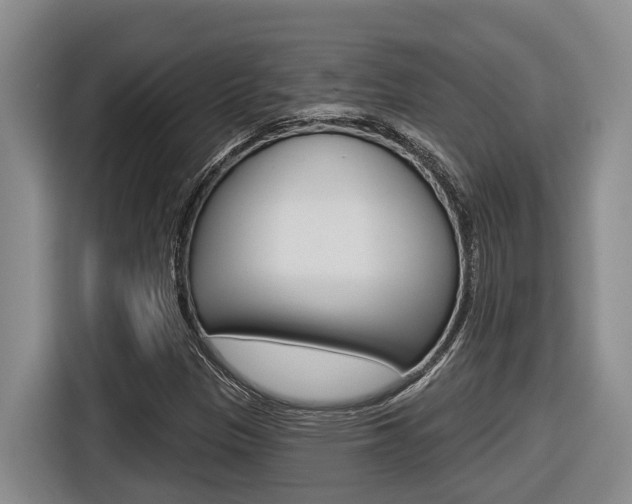 X0000116571305200912100955