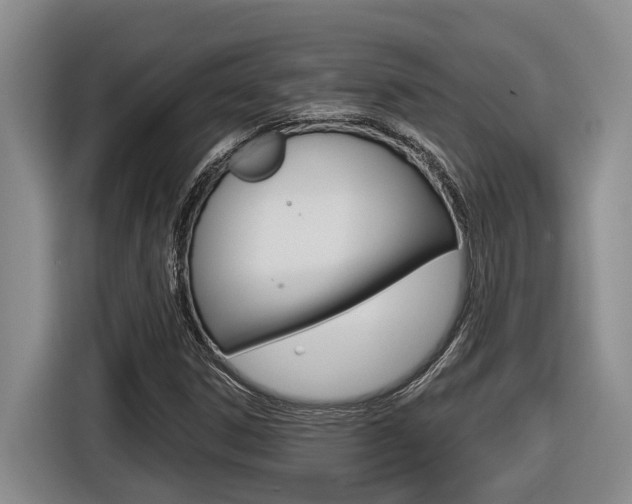 X0000116571306200912100955