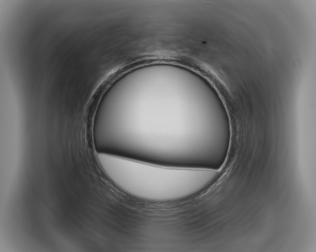X0000116571307200912100955