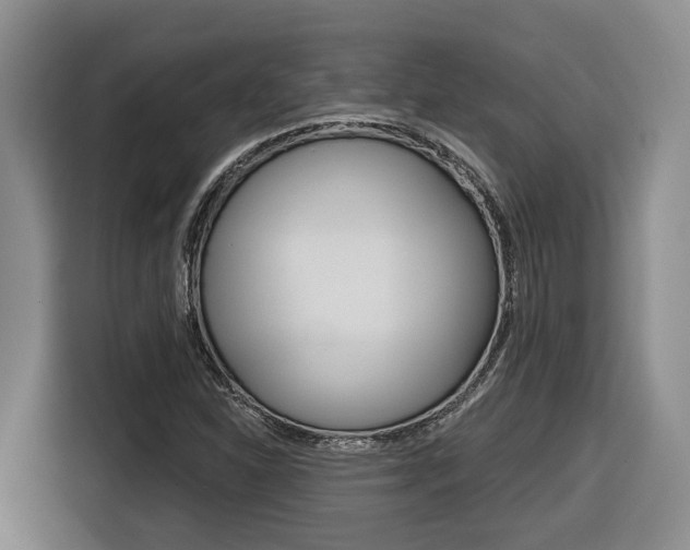X0000116571310200912100955