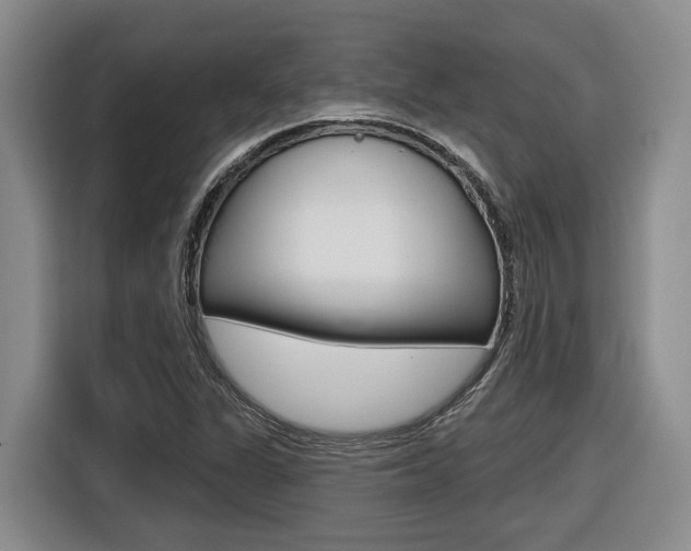 X0000116571311200912100955