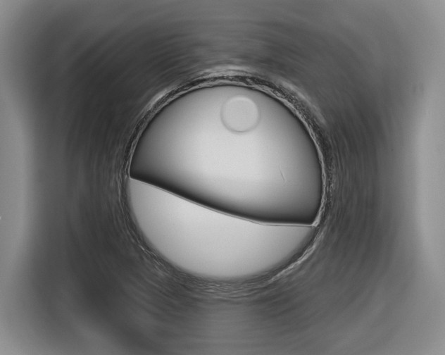 X0000116571313200912100955