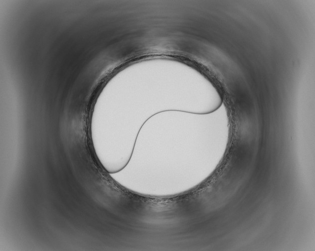 X0000116571314200912100955