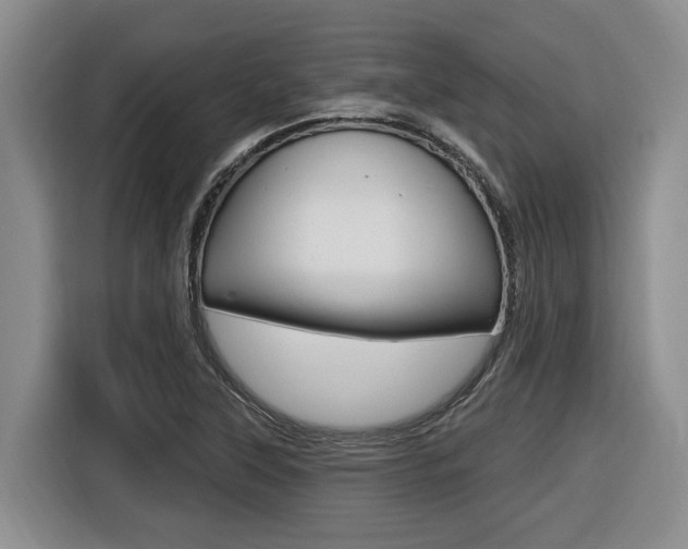 X0000116571315200912100955