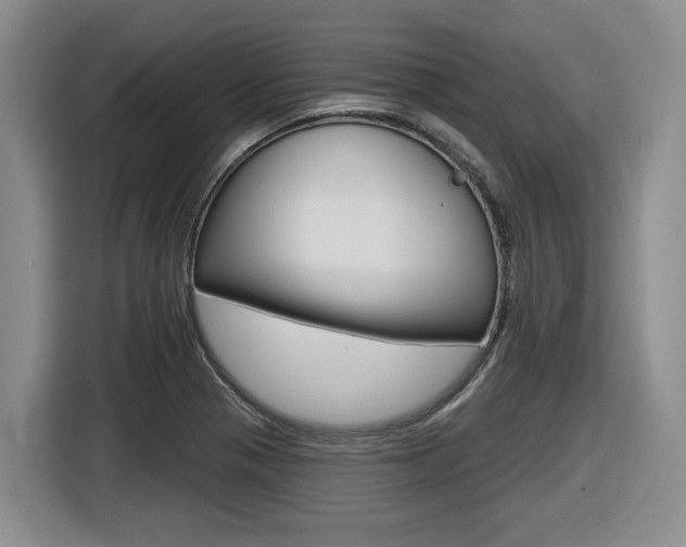 X0000116571321200912100955