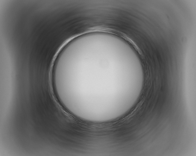 X0000116571323200912100955